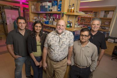 Rutgers Scientists