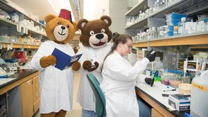 Shriners and Children's Hospital at LHSC