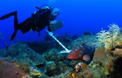 Jerry Ault, University of Miami Rosenstiel School of Marine & Atmospheric Science 