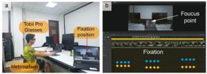 Figure 5 Eye-tracking test of fixation.