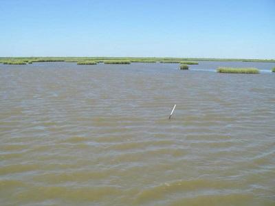 Calcasieu River