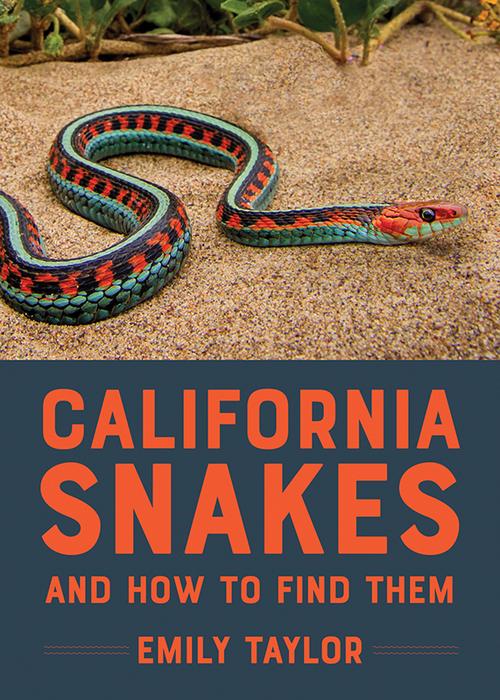 Snake Photo 3