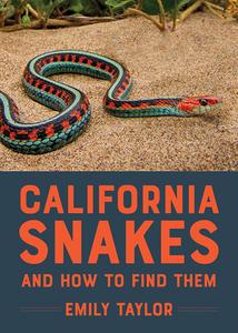 Snake Photo 3