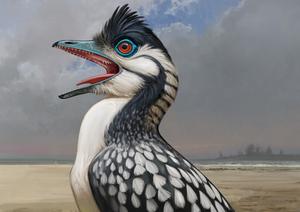 Reconstruction