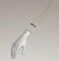 Regenerative Nerve Interface Enhances Precision and Durability of Hand Prostheses (3 of 12)