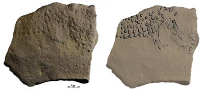 Limestone