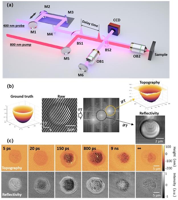 Figure | Working principles of ultrafast dual-modal microscopy and spatiotemporal imaging results.