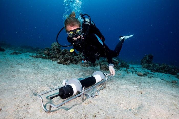 Dr. Herdís Steinsdóttir deploying an instrument near the reef in Eilat