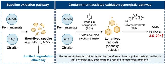 Contaminant-assisted oxidation pathway enabling enhanced antibiotic degradation.