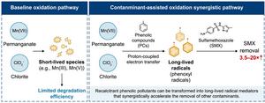 Contaminant-assisted oxidation pathway enabling enhanced antibiotic degradation.