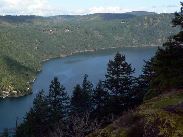 Saanich Inlet, British Columbia, Canada