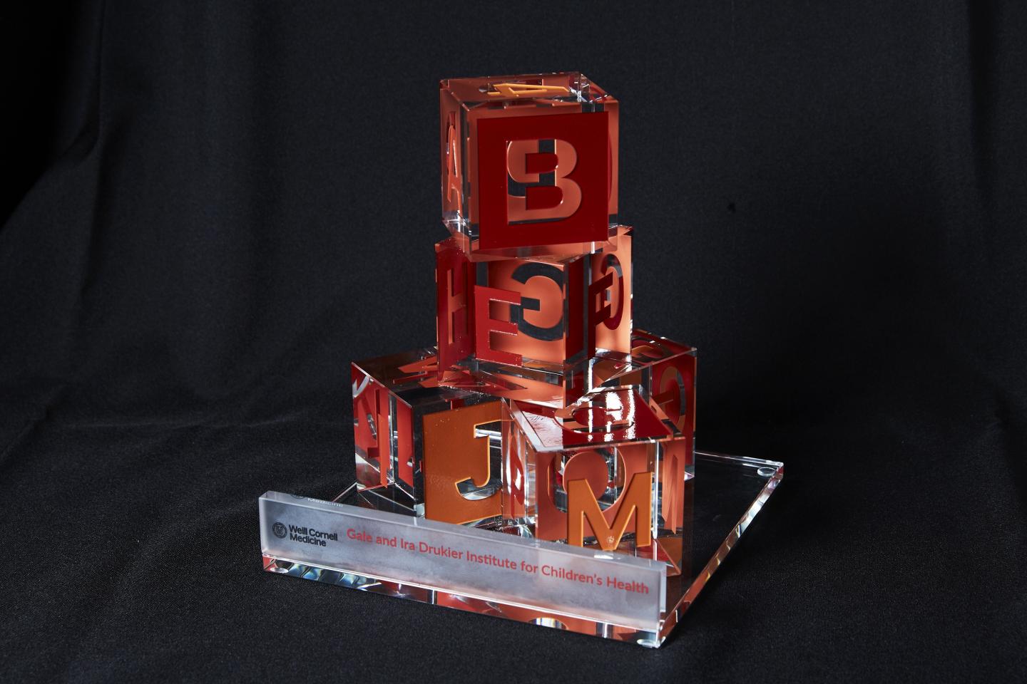 The Gale and Ira Drukier Prize in Children's Health Research Award