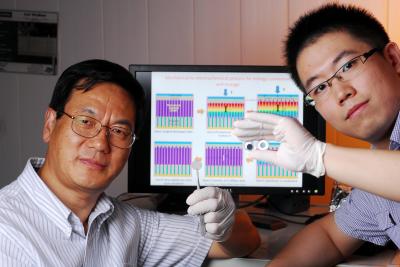 Zhong Lin Wang and Sihong Wang, Georgia Tech