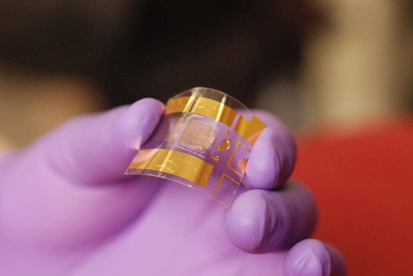 Flexible Transistor