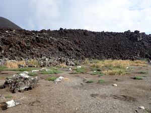 Nishinoshima, an active volcanic island.