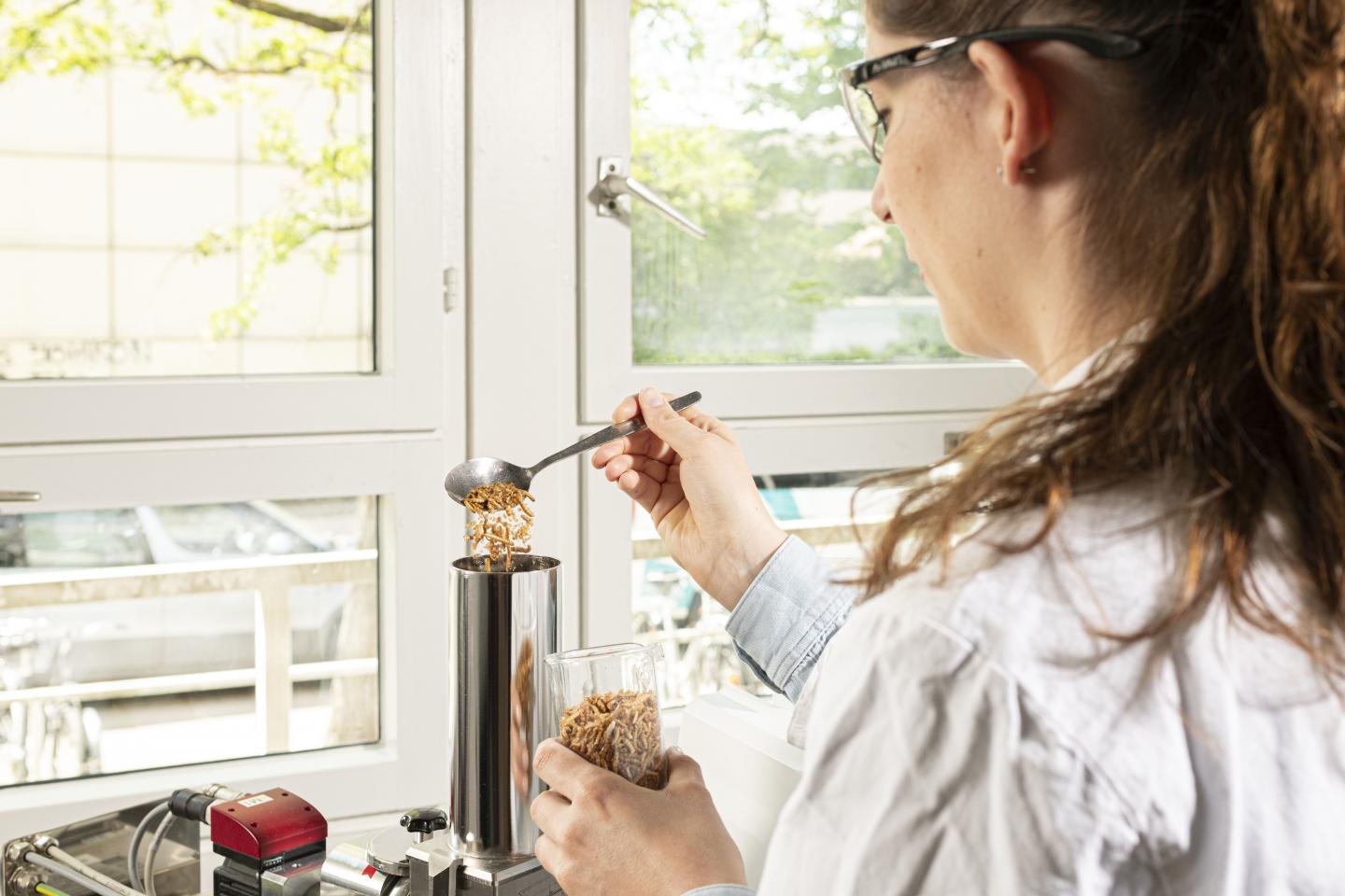 Food Technology: Insect Flours