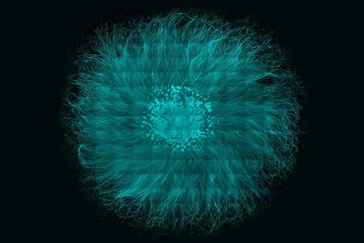 Neurons Radiating