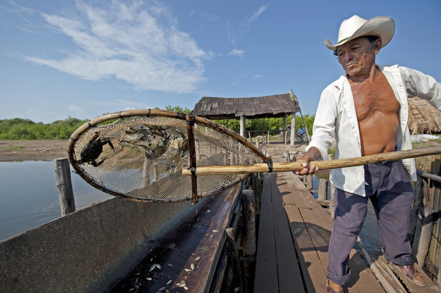Do the Benefits of Hydroelectric Dams Outweigh the Environmental Consequences? (1 of 6)