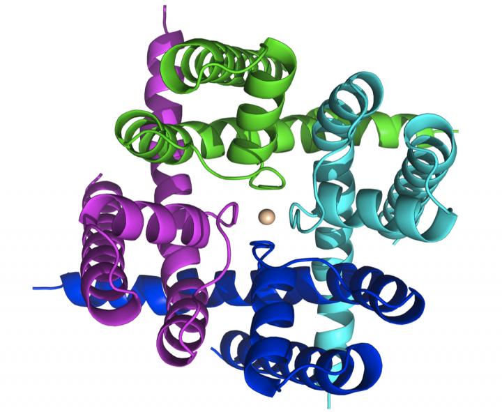 Ion Channel