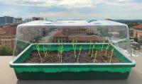 self-watering soil garden