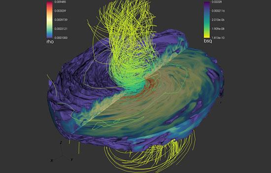Black Hole Emanating Magnetic Lines