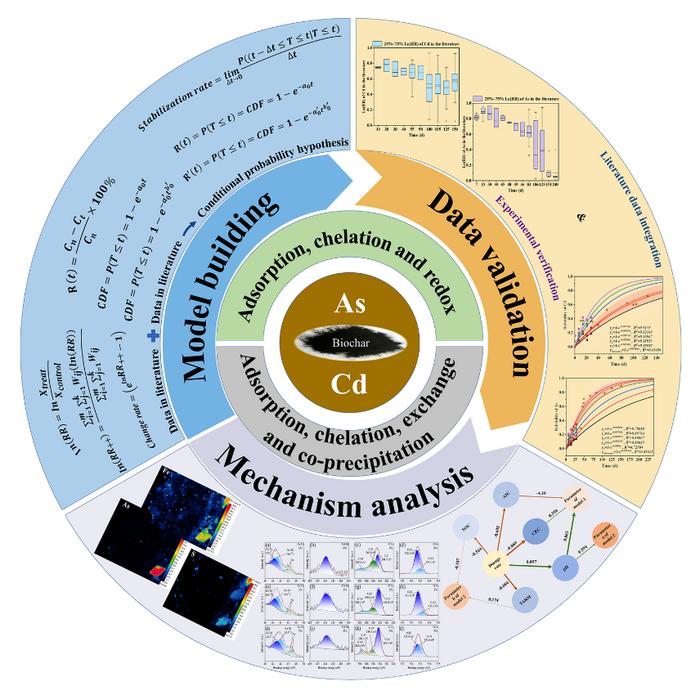 Remediation potential of biochar for As and Cd by modifying soil physicochemical properties: a conceptual model elucidating stabilization mechanism based on conditional probability theory