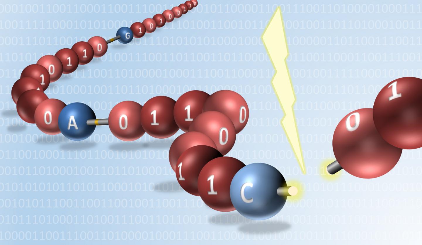 Fragile Bonds Between Each Molecular 