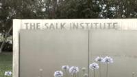 Salk Scientists Use an Old Theory to Discover New Targets in the Fight Against Breast Cancer
