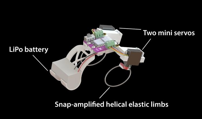 Hopping Robot Diagram