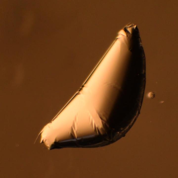 UMass Amherst Materials Researchers Describe a New Regime of Wrapped Shapes