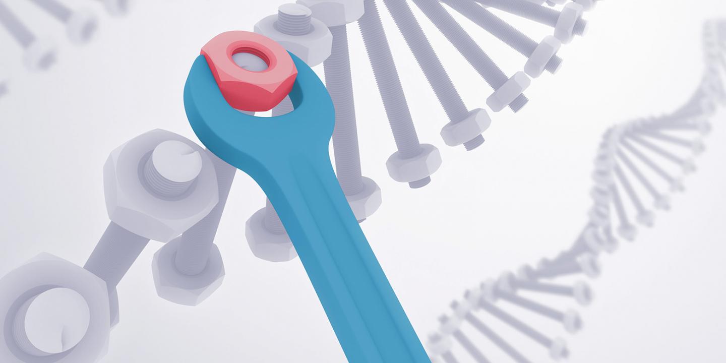 Gene Editing