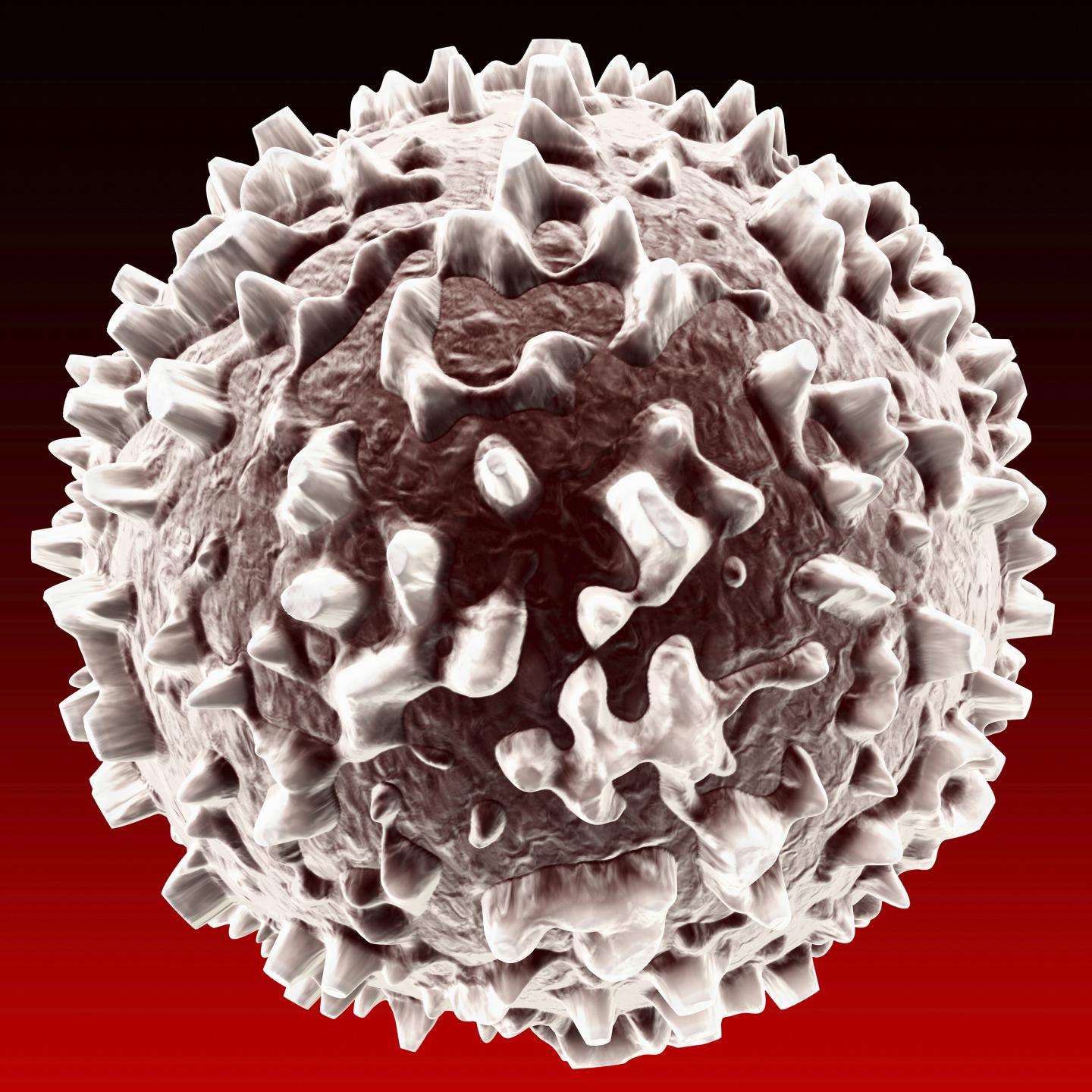 NETs and COPD
