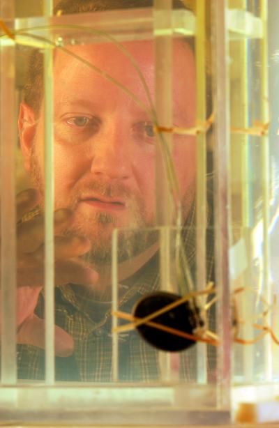 Pacemaker in Torso Simulator