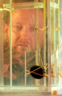 Pacemaker in Torso Simulator