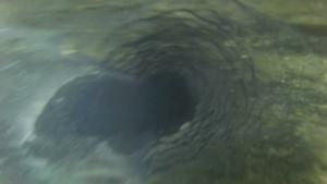 A rare glimpse into life under a glacier in East Antarctica.