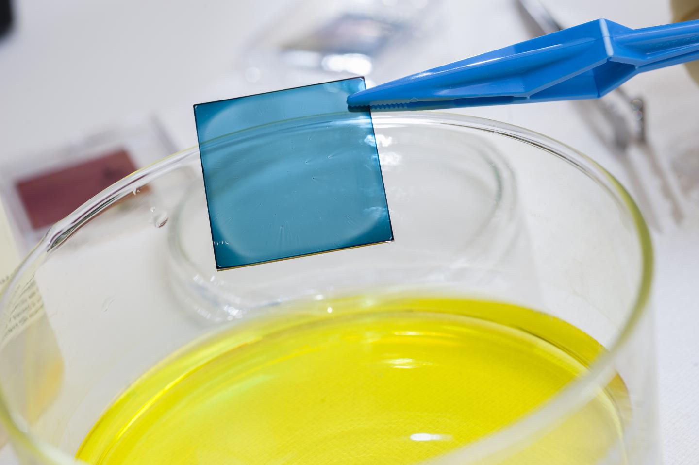 Polymer Film for Solar Cells