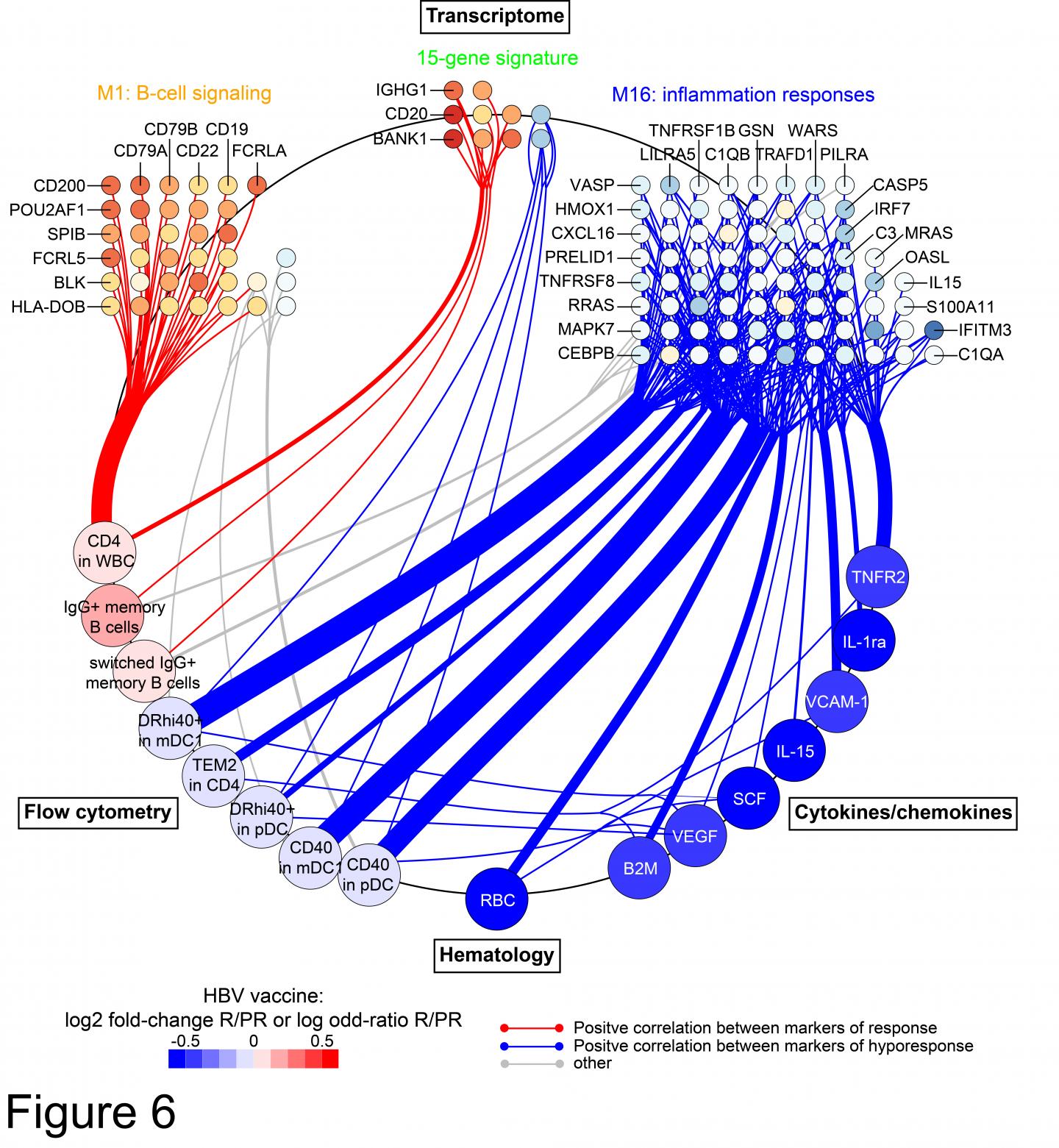 Genes Expressed By Specific Cell Types