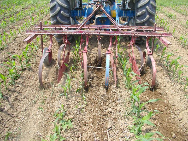 Cultivator
