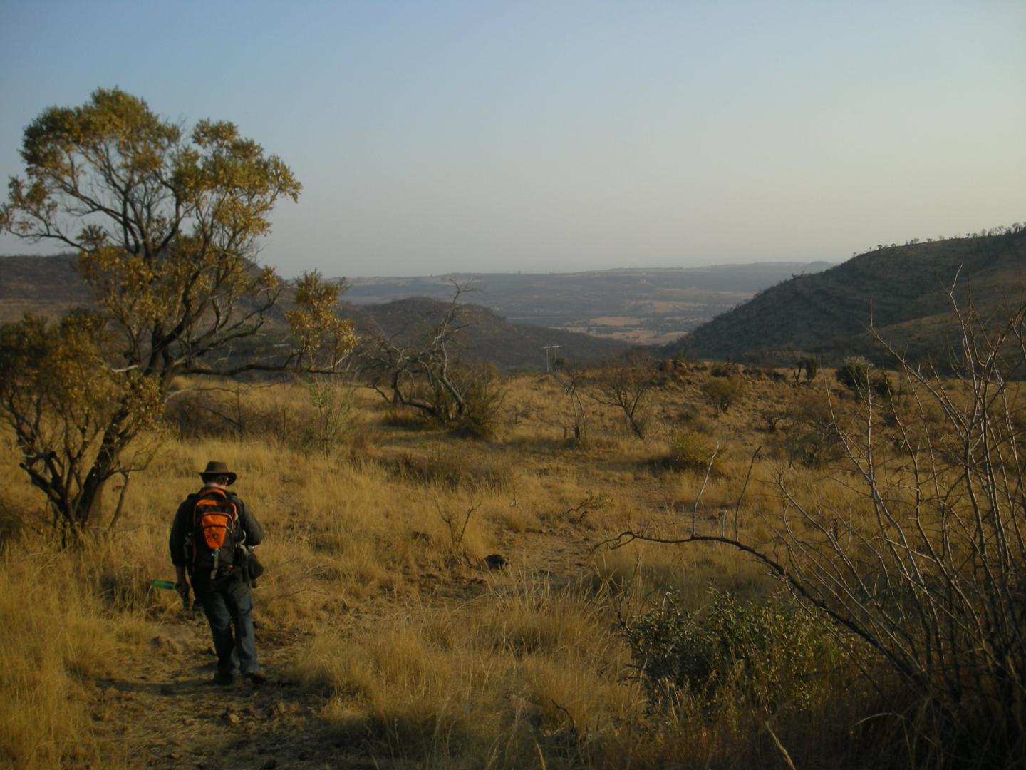 Typical Cradle of Humankind Landscape Today