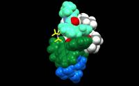 The Newly Developed Modular Catalyst