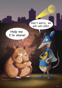 Lsd1 in a Comic