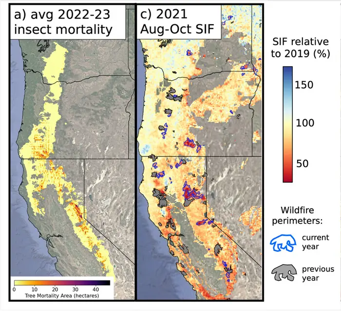 Insect mortality and SIF