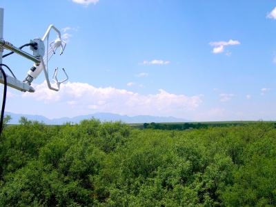 Flux Tower