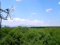 Flux Tower