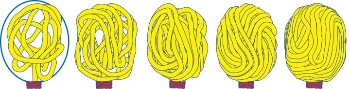 Filling the Capsid