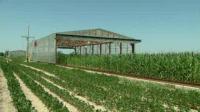 Drought Simulators Give Researchers 'Real-World' Experience