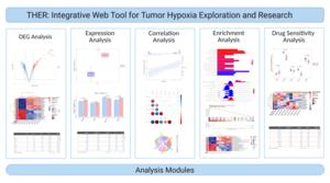 Analysis modules of THER