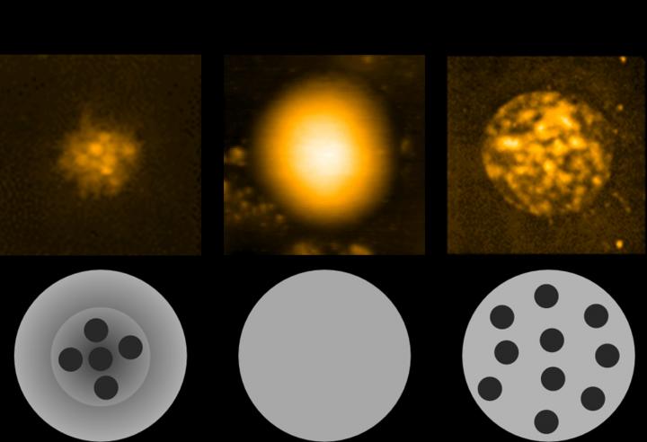 Image of 3 Types of Microgels