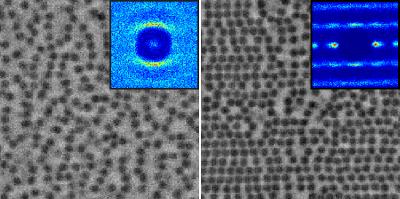 Particles, Sheared and Suspended