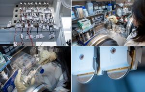 lab photo collage